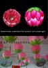 Hanging Blossom Lotus Flower Lampshade for Chinese Lantern Festival Decor - Rose Red