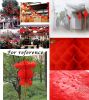 20 Pack Chinese Small Red Lanterns for New Year Spring Festival Celebration 7.9"