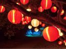 [Red] Chinese/Japanese Style Hanging lantern Decorative Paper Lantern 16"